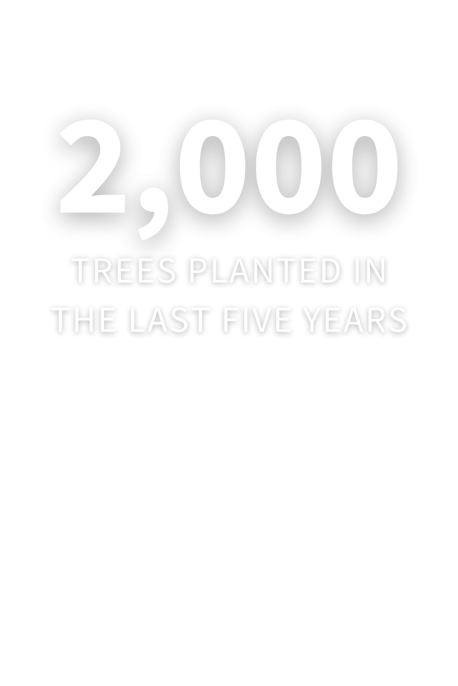 2,000 trees planted in the last five years